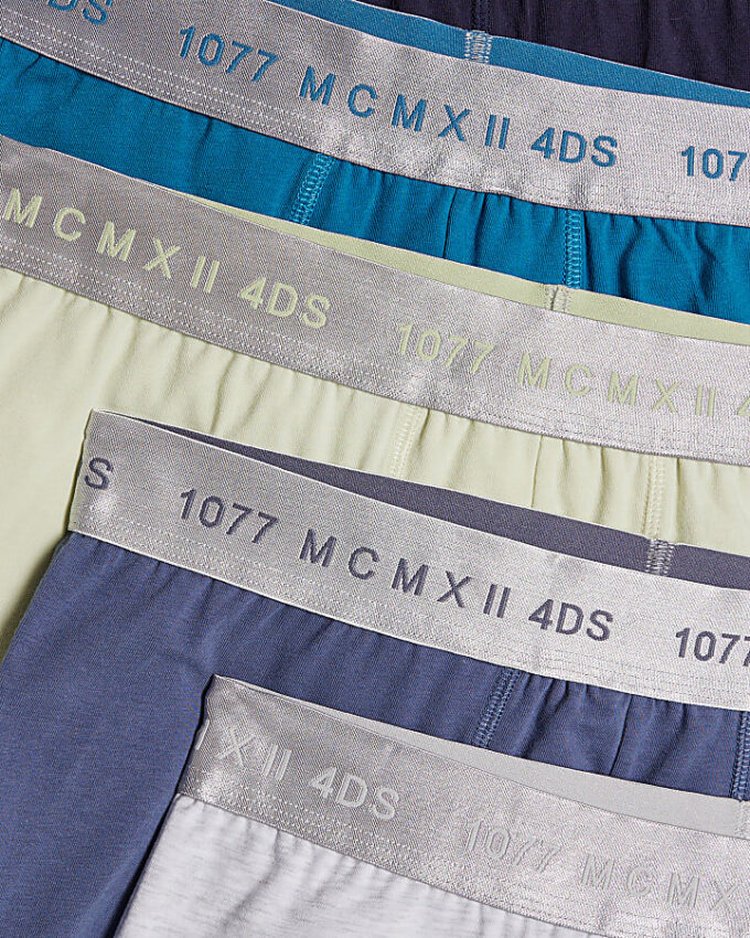 Flerfärgat 5-pack MCMXII-badbyxor