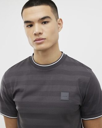 Grå Slim Fit Luminis Badge Stripe T-shirt