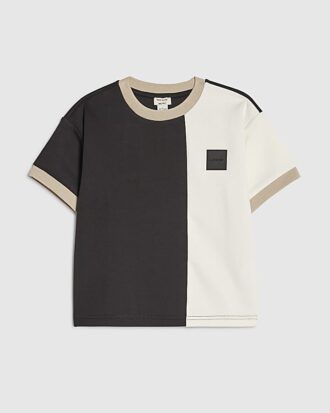 Mini Boys Beige Colour Block Luminis T-shirt