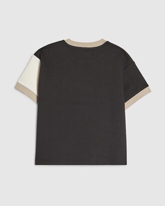 Mini Boys Beige Colour Block Luminis T-shirt