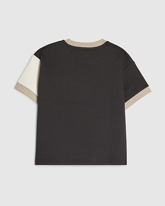 Mini Boys Beige Colour Block Luminis T-shirt