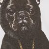 Vit Frenchie-T-shirt för pojkar