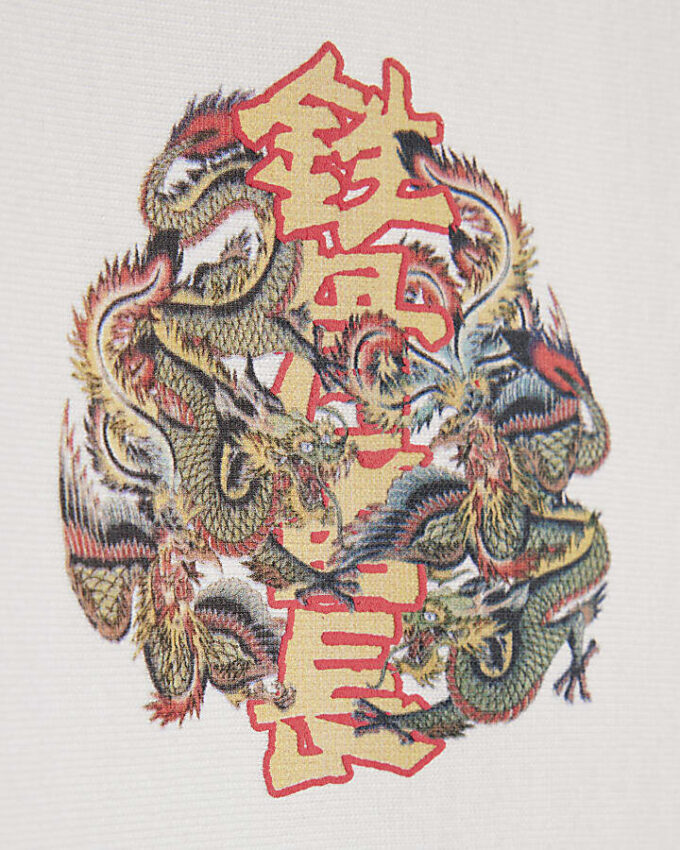 Vit oversized-passformad T-shirt med drakgraffiti